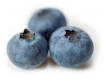 Blueberries