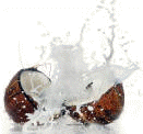 Coconut Water