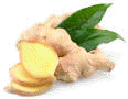 Ginger