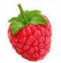 Raspberries