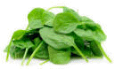 Spinach